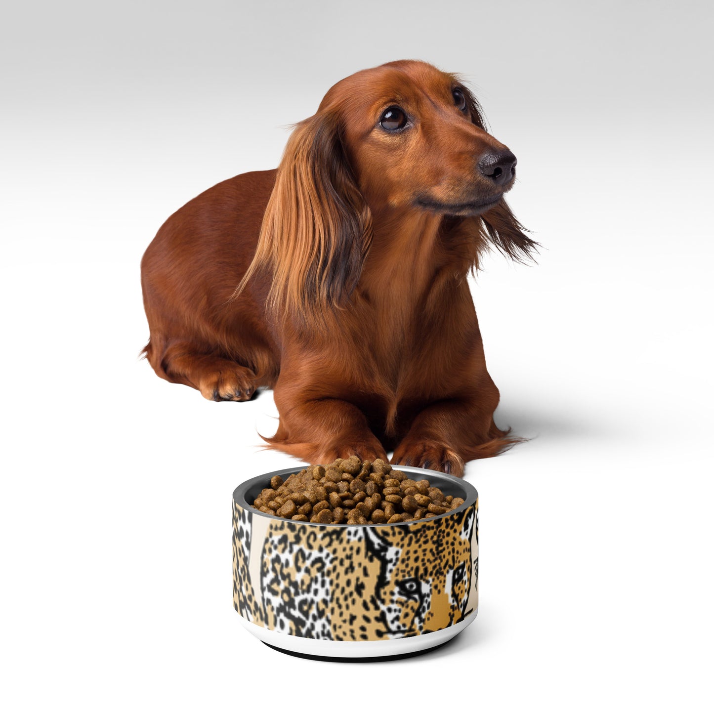 Pet bowl