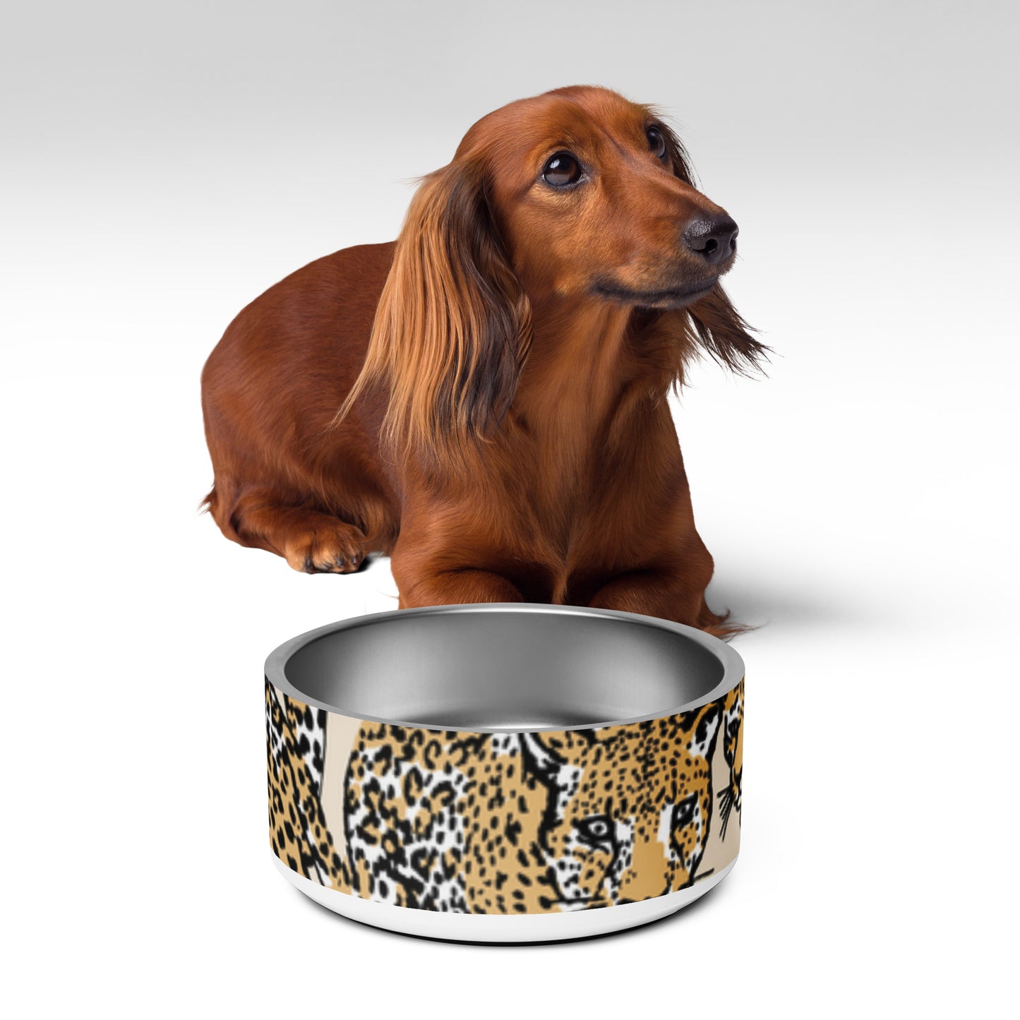 Pet bowl