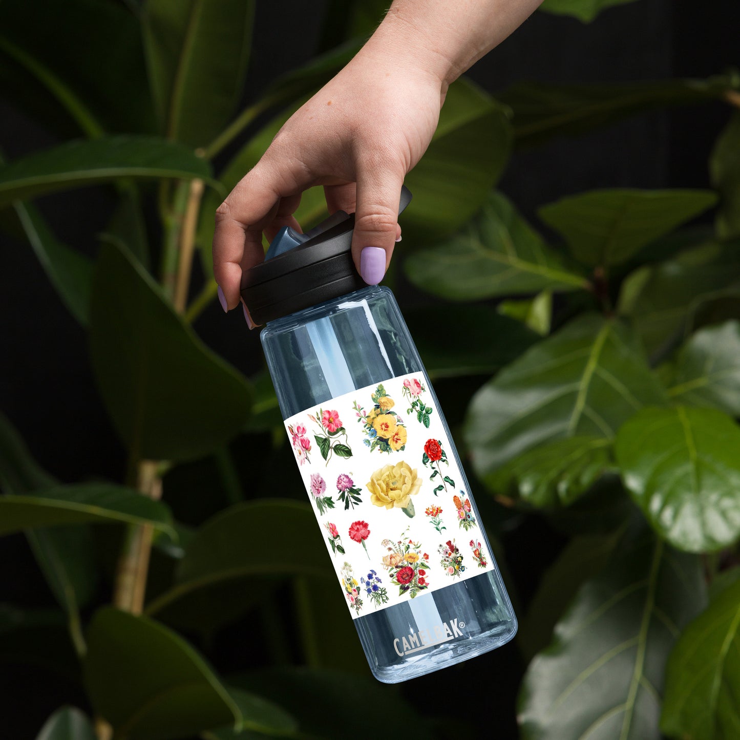 Sports water bottle