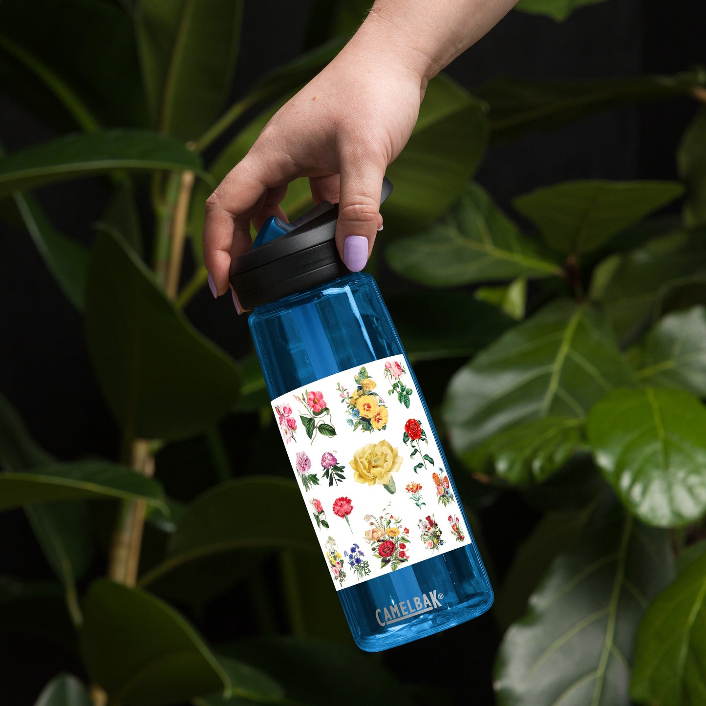Sports water bottle