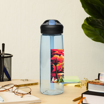Sports water bottle