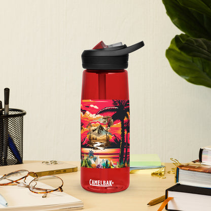 Sports water bottle