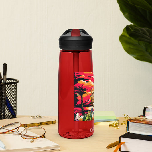 Sports water bottle