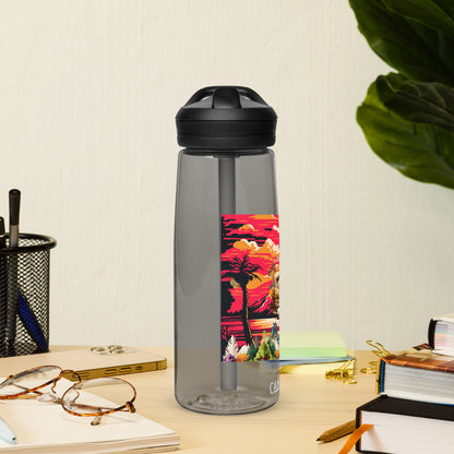 Sports water bottle