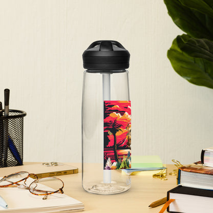 Sports water bottle