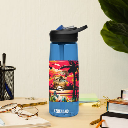 Sports water bottle
