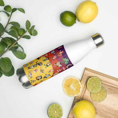 Stainless Steel Water Bottle